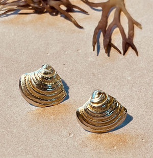 Bigbury shell studs.