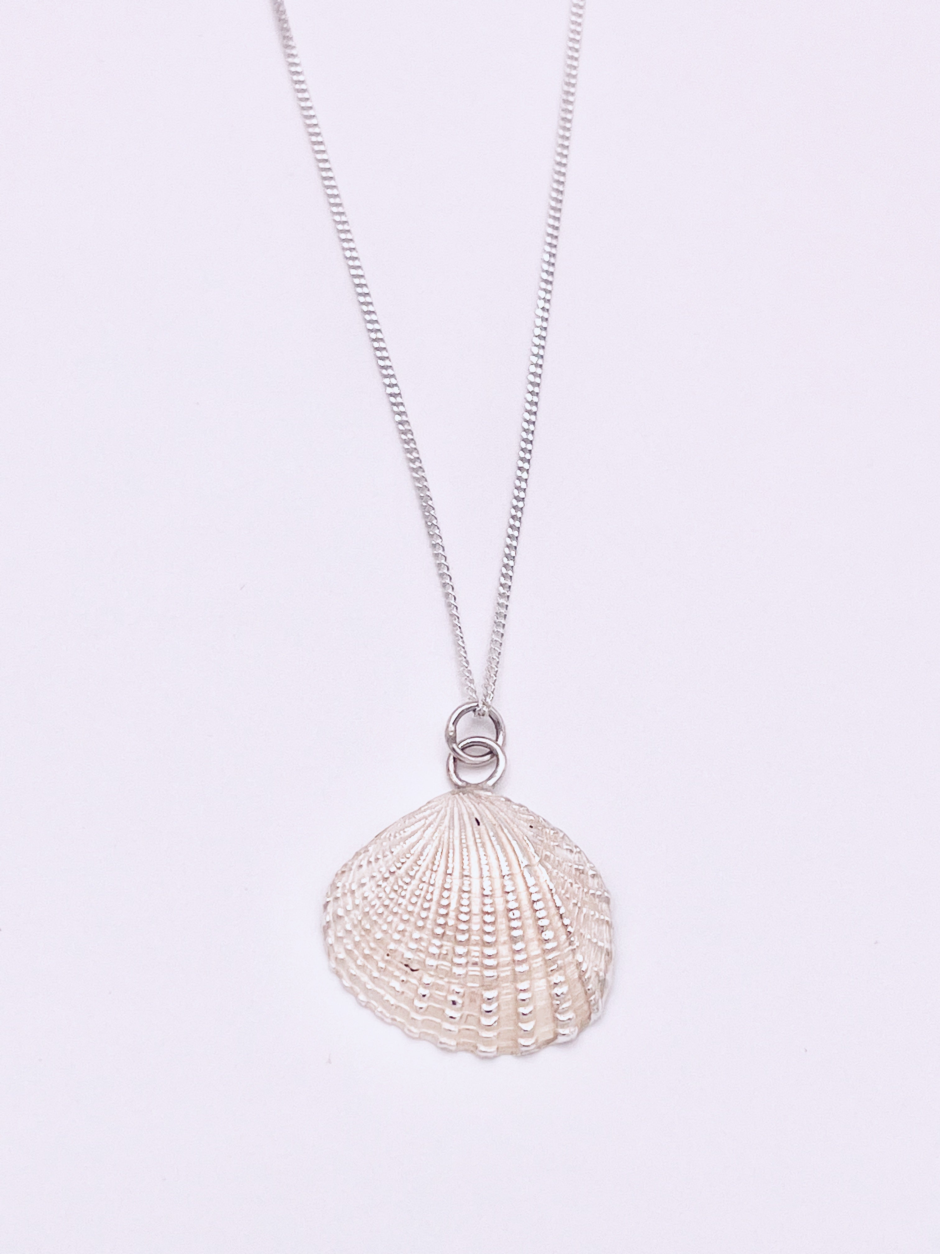 Solid Silver Cockle shell necklace.