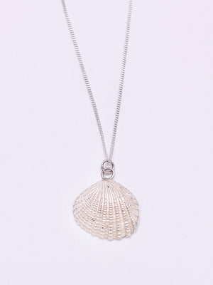 Solid Silver Cockle shell necklace.