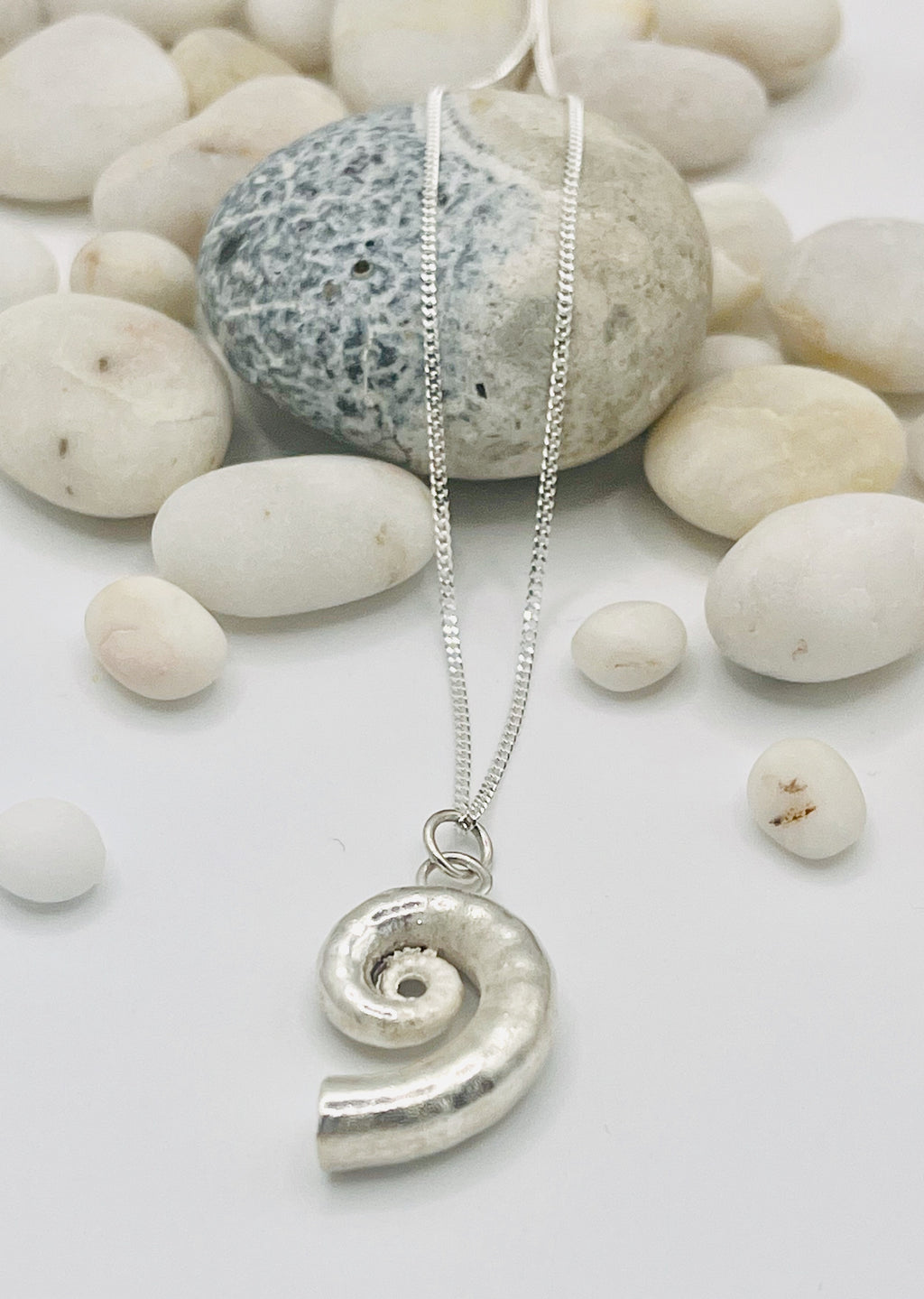 Silver Ammonite shell necklace.