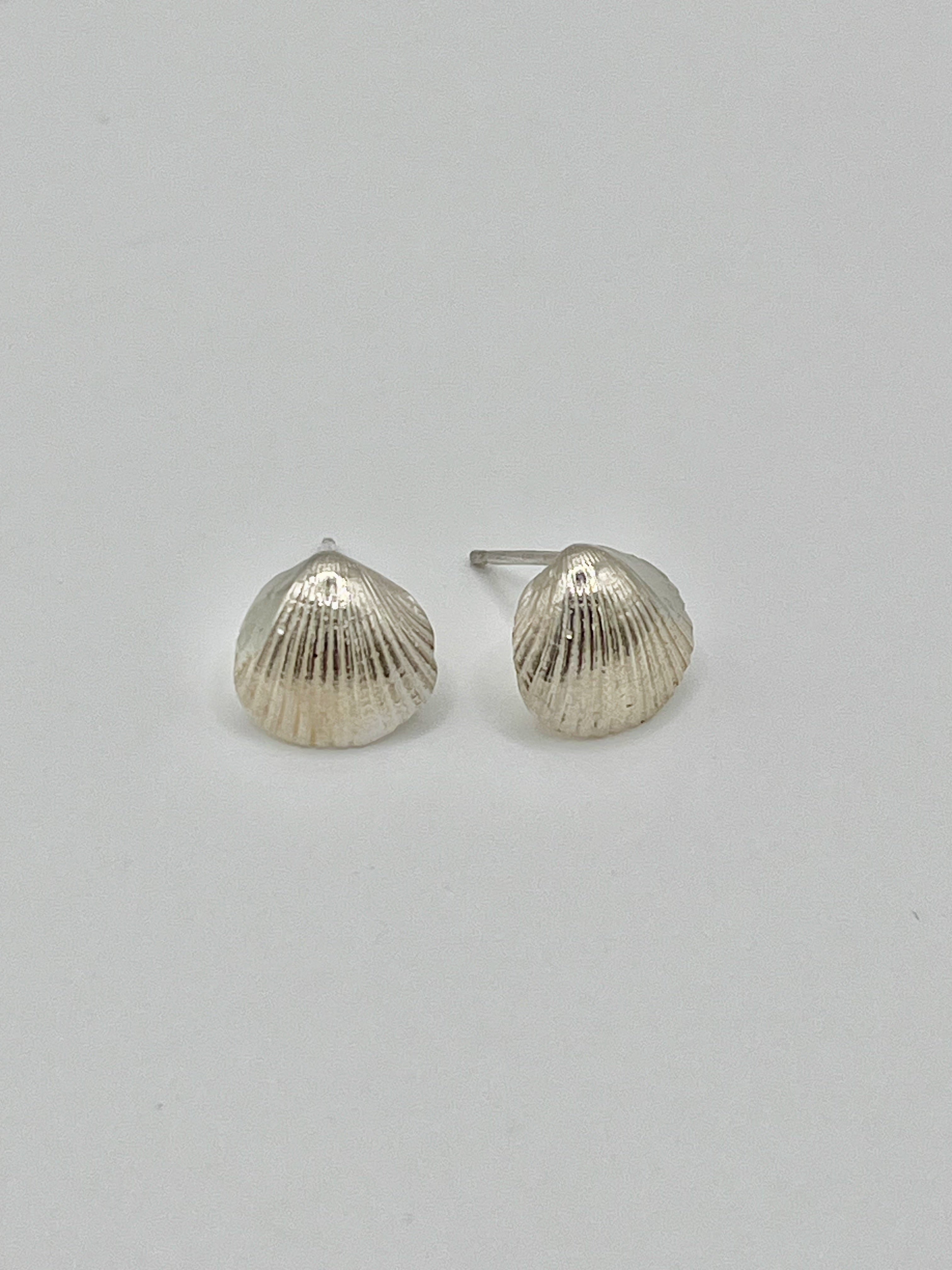 Silver Cockle shell stud earings.