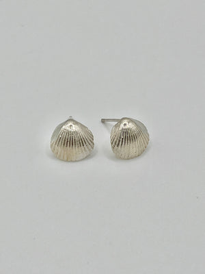 Silver Cockle shell stud earings.