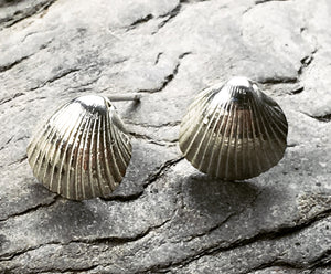 Silver Cockle shell stud earings.